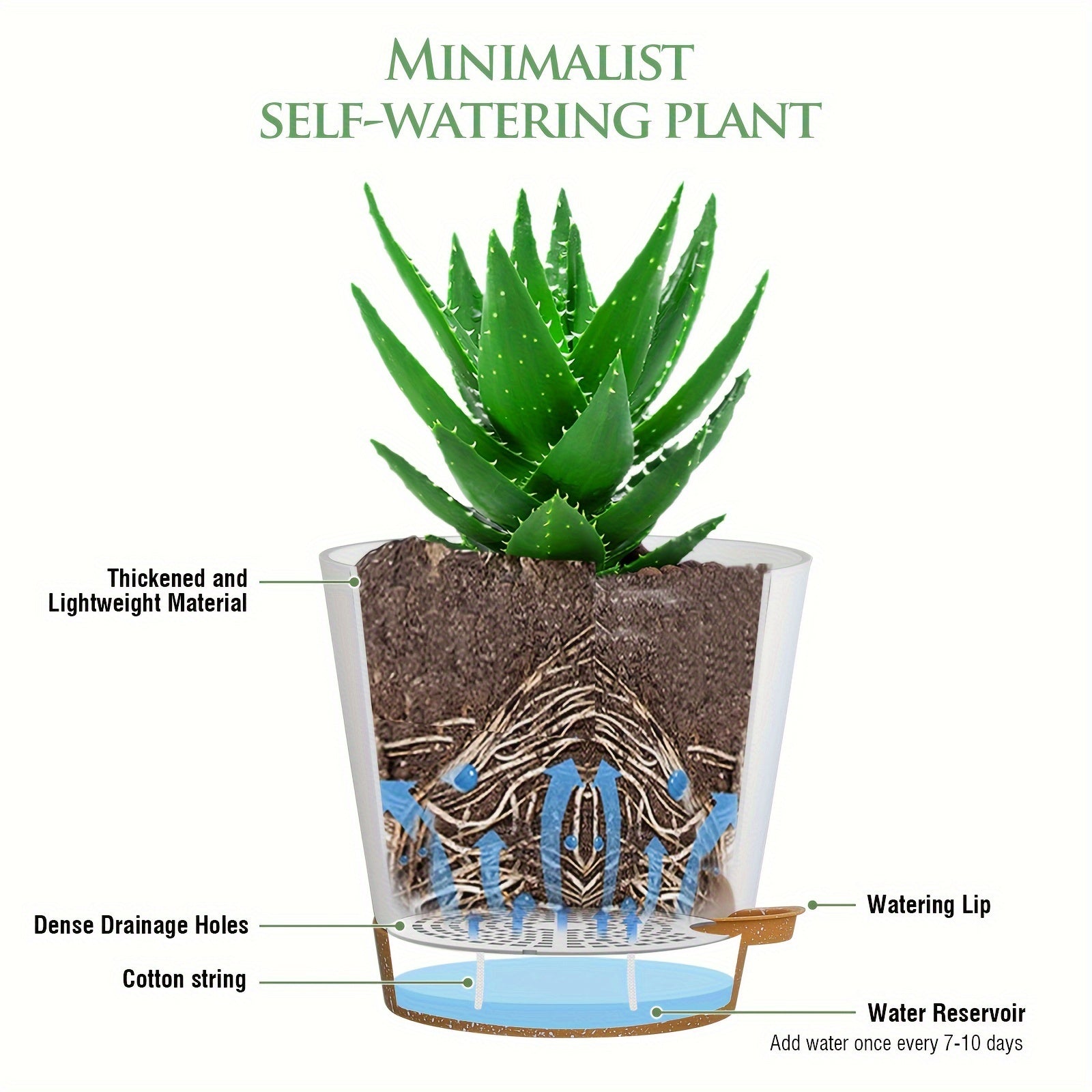 Zelfwatergevende Bloempotten - Perfect voor Binnen en Buiten